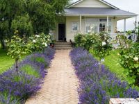 Tourist Rental Olivers Farmstay B&B from Temuka, Timaru, Canterbury