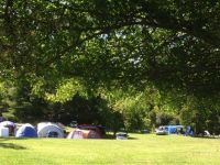 Tourist Rental Sapphire Springs Holiday Park & Thermal Pools from Katikati, Western Bay of Plenty, Bay of Plenty