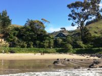 Tourist Rental Te Pohue Farm Stay Trails from Diamond Harbour, Christchurch, Canterbury