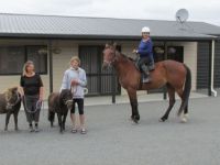 Tourist Rental Eyreview Retreat from West Eyreton, Waimakariri, Canterbury