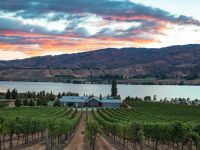 Tourist Rental Mt Michael Lodge from Cromwell, Central Otago, Otago