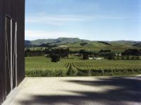 Tourist Rental Black Estate B & B from Waipara, Christchurch, Canterbury