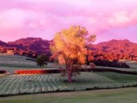 Tourist Rental Out in the Styx Guest House from Pukeatua, Waipa, Waikato