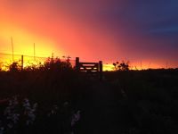 Tourist Rental The Shepherd's Rest from Oamaru, Waitaki, Otago