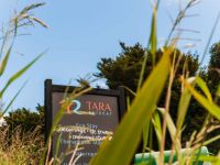 Tourist Rental Tara Retreat from Mangawhai, Kaipara, Northland