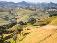 Tourist Rental Earth Energies Sanctuary from Mangatarata, Hauraki, Waikato