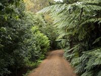 Tourist Rental Tahi New Zealand from Whangarei, Whangarei, Northland