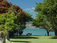 Tourist Rental Blue Heron Waterfront Holiday Park Whangarei Heads from Whangarei, Whangarei, Northland