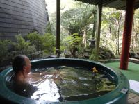 Tourist Rental Coromandel Koru Dojo Bush Retreat from Whitianga, Thames-Coromandel, Waikato
