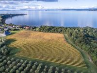 Tourist Rental Streamblock from Taupo, Taupo, Waikato