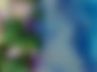 Tourist Rental Tryphena House, Great Barrier Island from Great Barrier Island, Auckland, Auckland