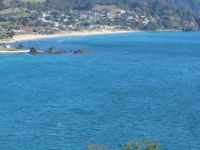 Tourist Rental Kuaotunu Campground from Waikato