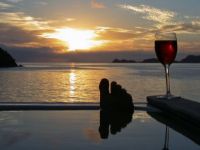 Tourist Rental Ngaio Bay Eco-stay B&B from French Pass, Waipa, Waikato