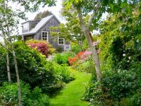 Tourist Rental Kamahi Cottage from Otorohanga, Otorohanga, Waikato